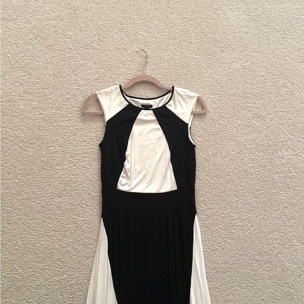 Elegant Black and White Dress - Picture 6 of 6